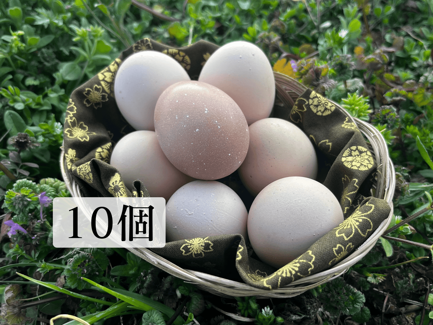 【まごころ卵10個入り】※OPEN記念50%価格|名古屋コーチン 平飼い卵|濃厚で美味しい産地直送の新鮮たまご - 平飼い卵専門店 百華鶏