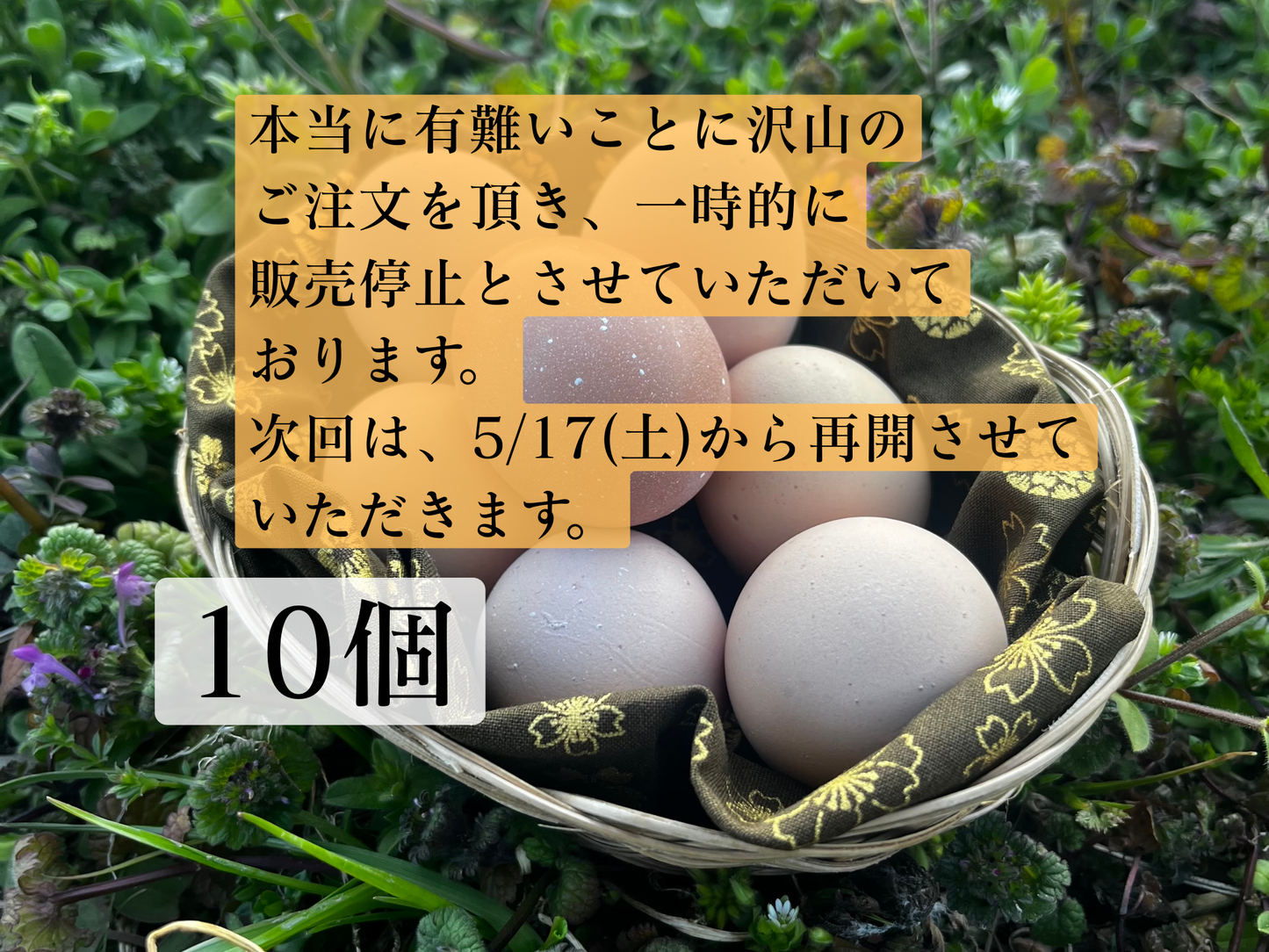 【まごころ卵10個入り】平飼い卵|名古屋コーチン |濃厚で美味しい産地直送の新鮮たまご(5/24(土)から順次発送)