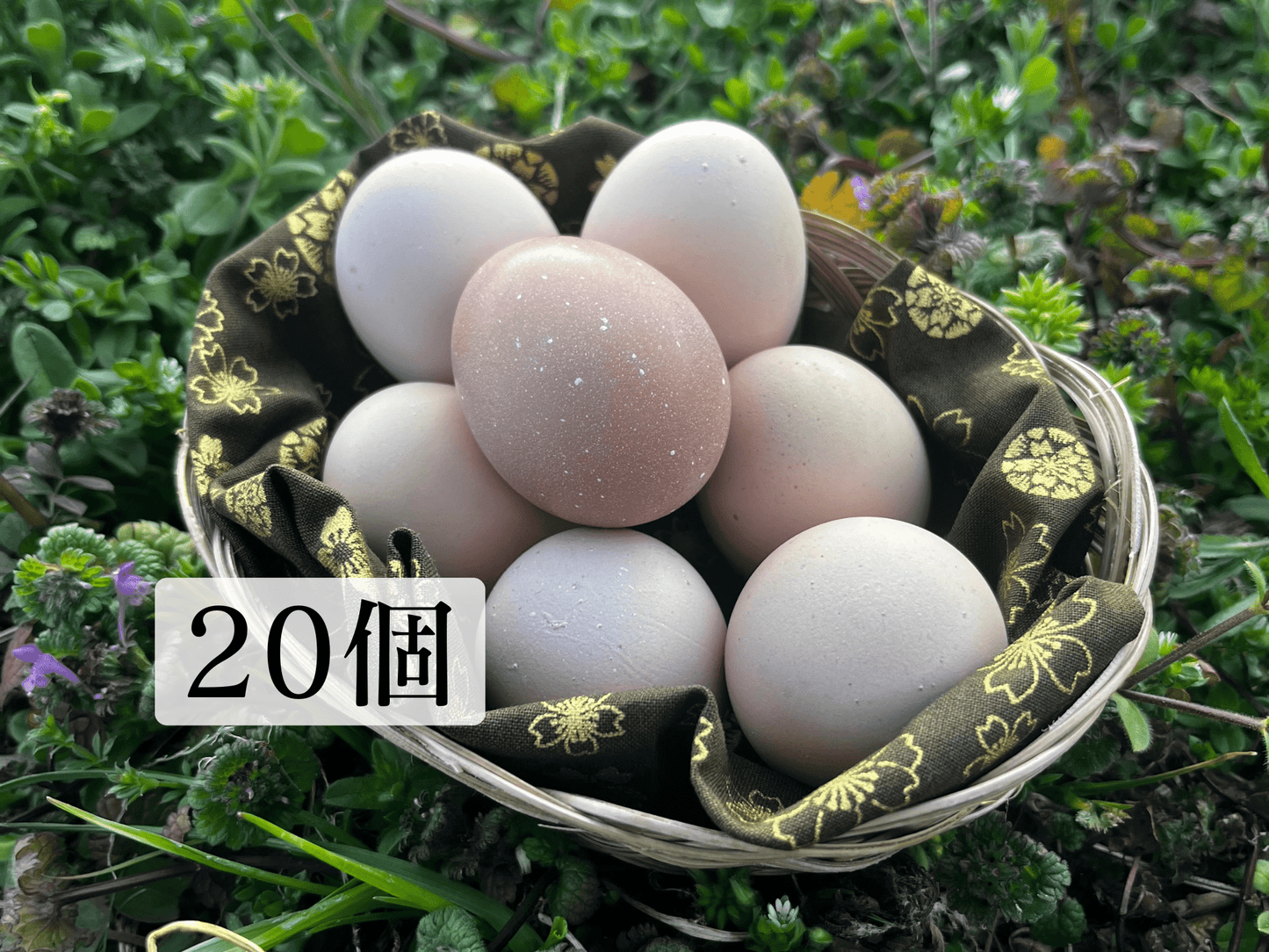 【まごころ卵20個入り】※OPEN記念50%価格|名古屋コーチン 平飼い卵|濃厚で美味しい産地直送の新鮮たまご - 平飼い卵専門店 百華鶏