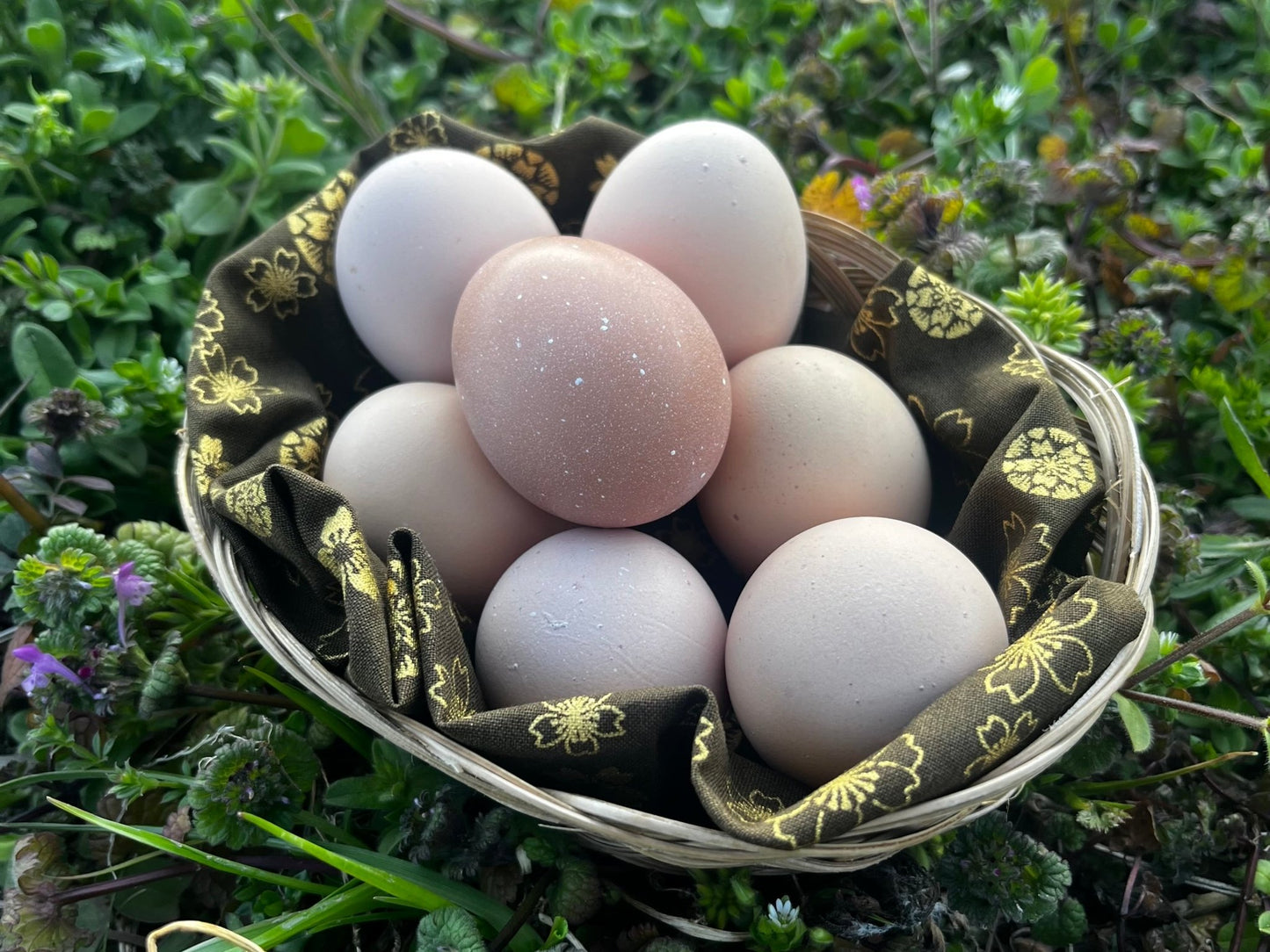 ♢定期便♢※準備中 - 平飼い卵専門店 百華鶏