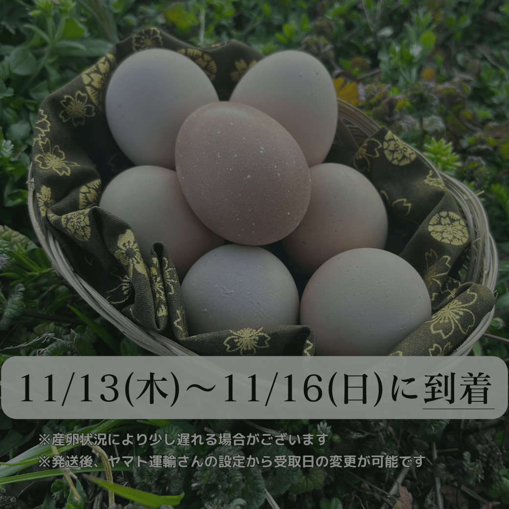 【まごころ卵｜11/13~11/16に到着】平飼い卵｜名古屋コーチン｜濃厚で美味しい産地直送の新鮮たまご - 平飼い卵専門店 百華鶏