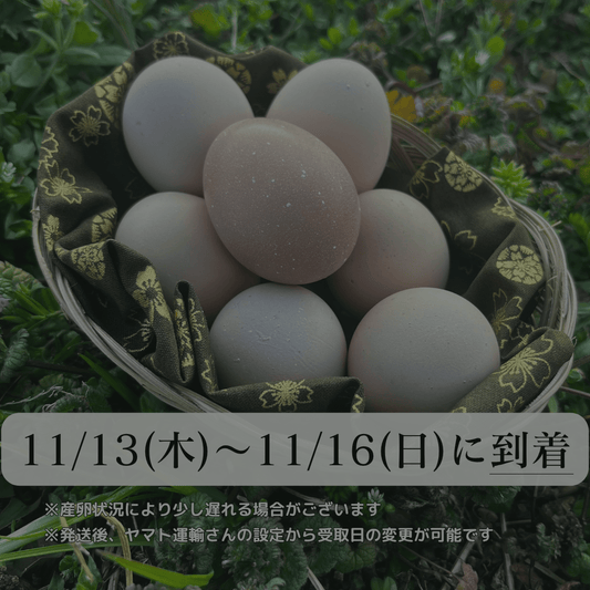 【まごころ卵｜11/13~11/16に到着】平飼い卵｜名古屋コーチン｜濃厚で美味しい産地直送の新鮮たまご - 平飼い卵専門店 百華鶏