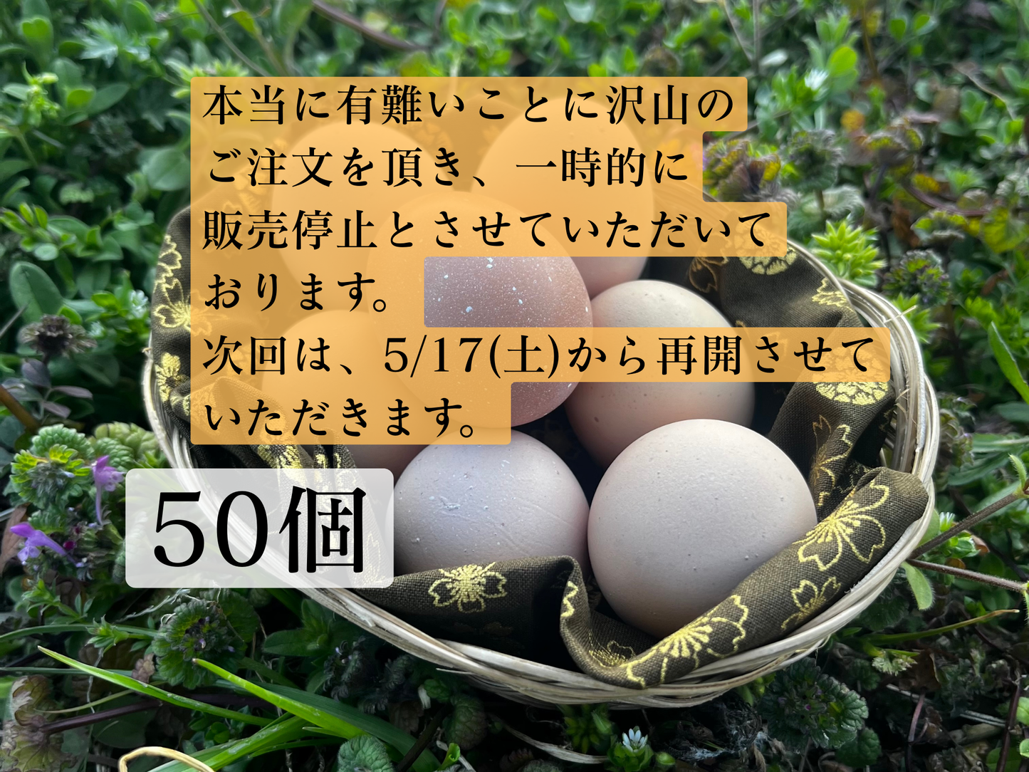 【まごころ卵50個入り】平飼い卵｜名古屋コーチン ｜濃厚で美味しい産地直送の新鮮たまご（5/24(土）から順次発送）