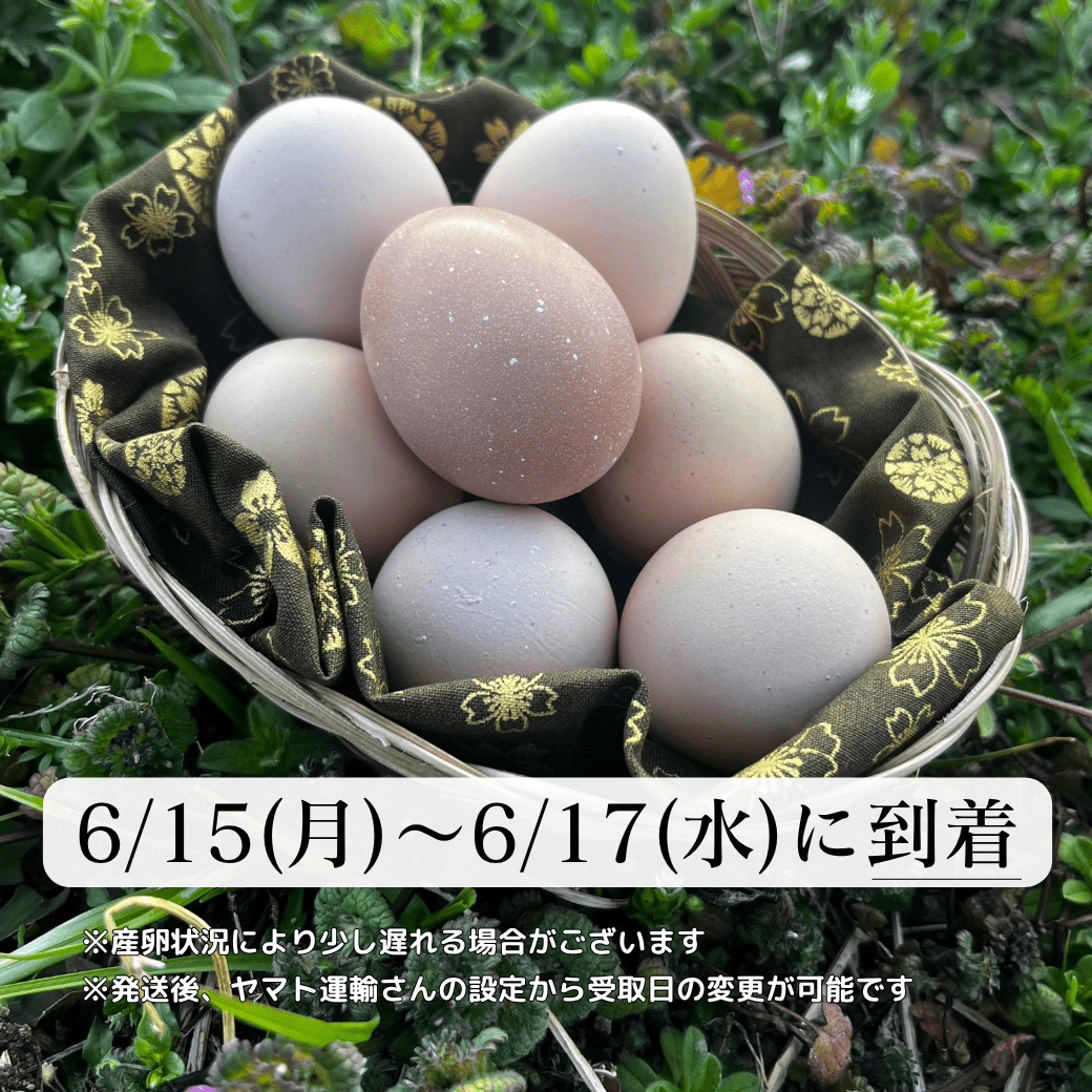 【まごころ卵｜6/15~6/17到着】平飼い卵｜名古屋コーチン｜濃厚で美味しい産地直送の新鮮たまご - 平飼い卵専門店 百華鶏