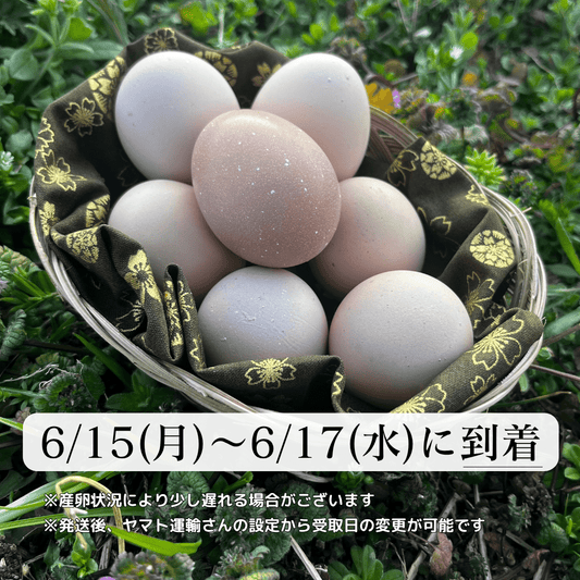 【まごころ卵｜6/15~6/17到着】平飼い卵｜名古屋コーチン｜濃厚で美味しい産地直送の新鮮たまご - 平飼い卵専門店 百華鶏
