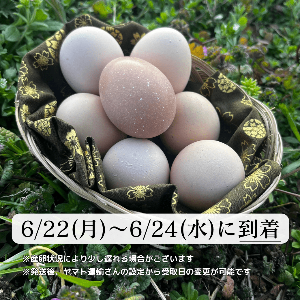 【まごころ卵｜6/22~6/24に到着】平飼い卵｜名古屋コーチン｜濃厚で美味しい産地直送の新鮮たまご - 平飼い卵専門店 百華鶏