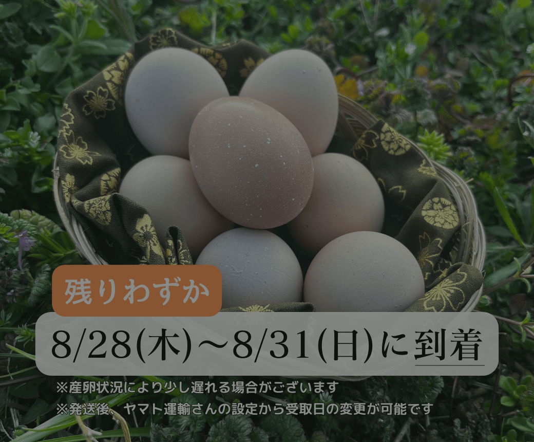 【まごころ卵｜8/28～8/31に到着】平飼い卵｜名古屋コーチン｜濃厚で美味しい産地直送の新鮮たまご - 平飼い卵専門店 百華鶏