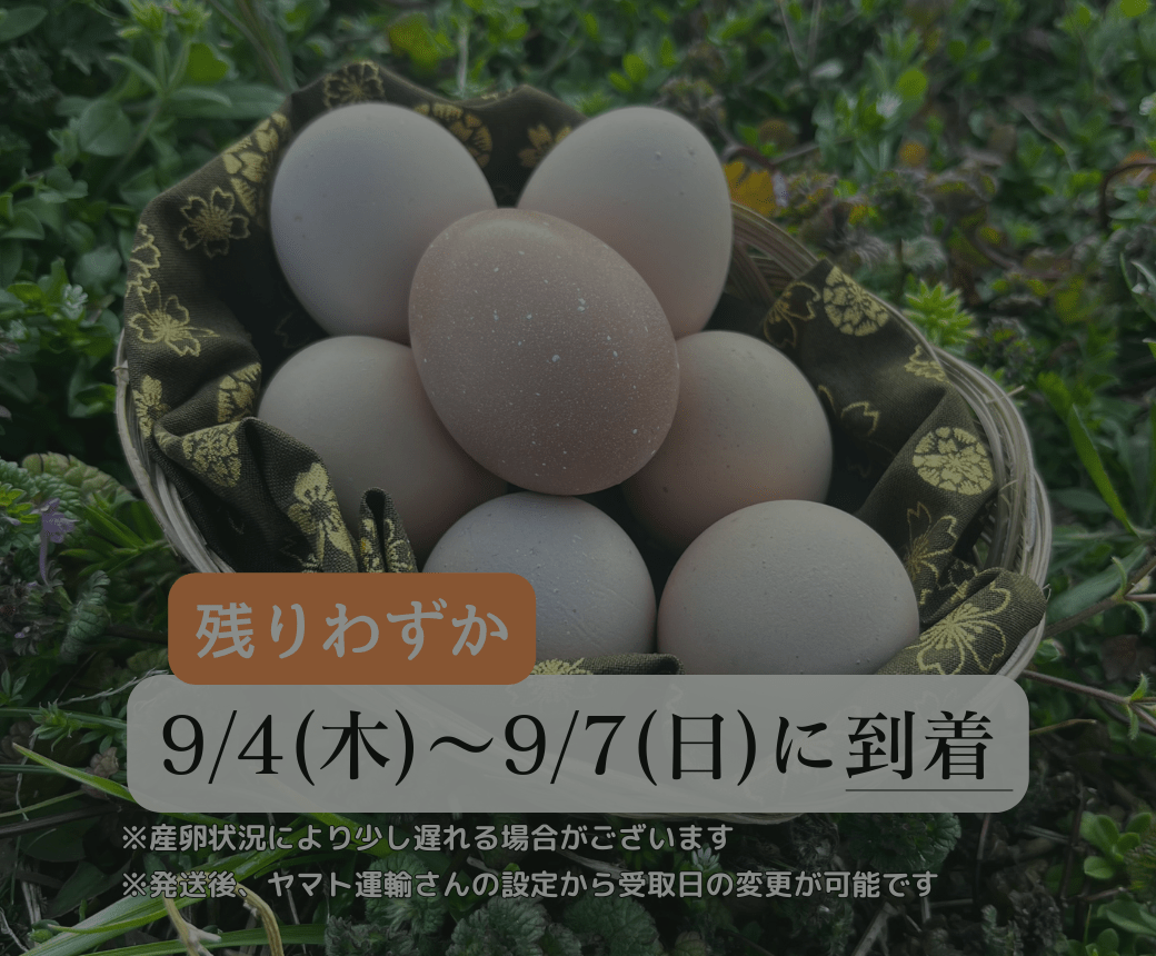 【まごころ卵｜9/4~9/7に到着】平飼い卵｜名古屋コーチン｜濃厚で美味しい産地直送の新鮮たまご - 平飼い卵専門店 百華鶏