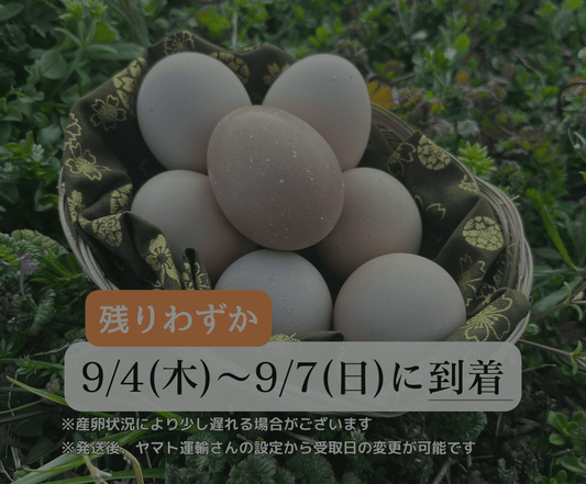 【まごころ卵｜9/4~9/7に到着】平飼い卵｜名古屋コーチン｜濃厚で美味しい産地直送の新鮮たまご - 平飼い卵専門店 百華鶏