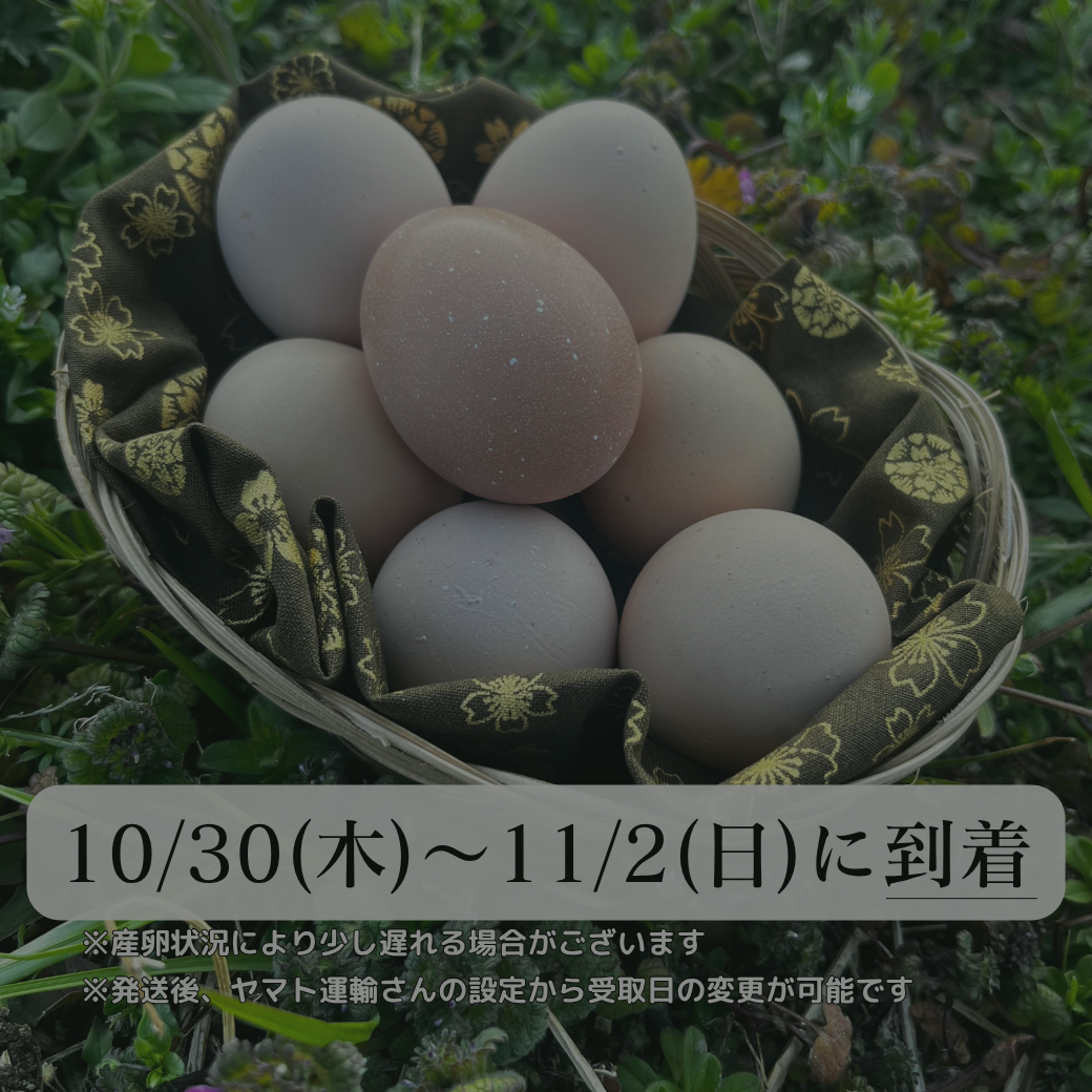 【まごころ卵｜10/30~11/2に到着】平飼い卵｜名古屋コーチン｜濃厚で美味しい産地直送の新鮮たまご
