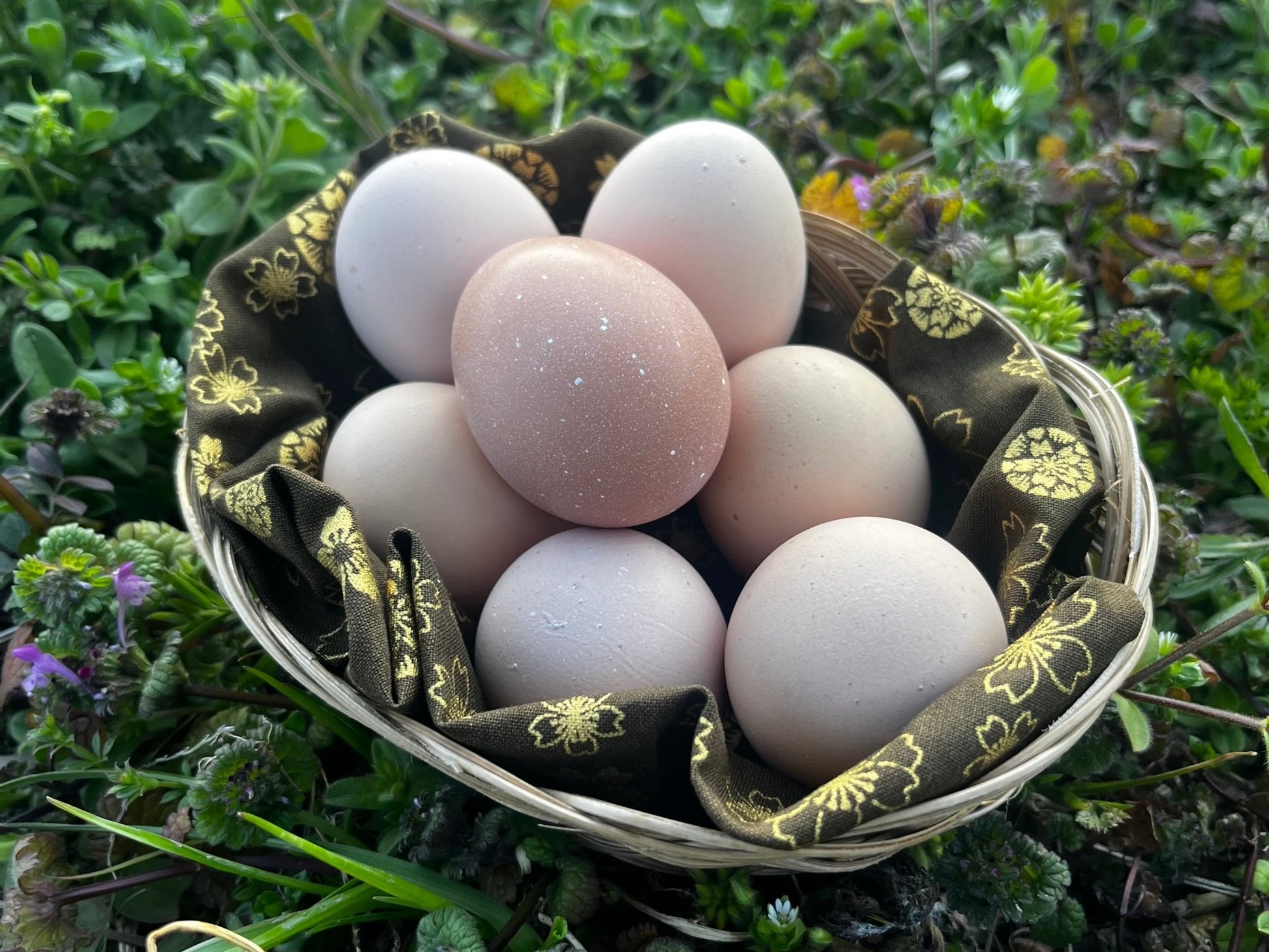 ♢定期便♢※準備中 - 平飼い卵専門店 百華鶏